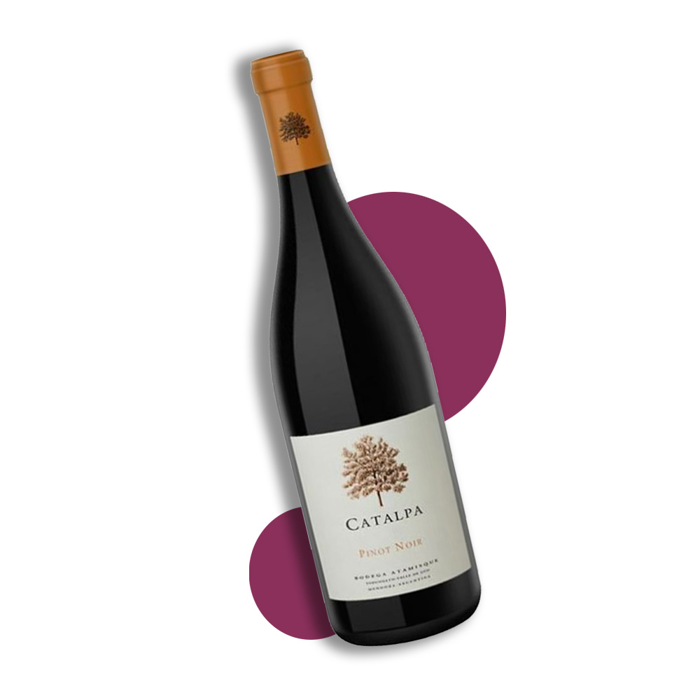 walters_Bodega Atamisque Catalpa Pinot Noir